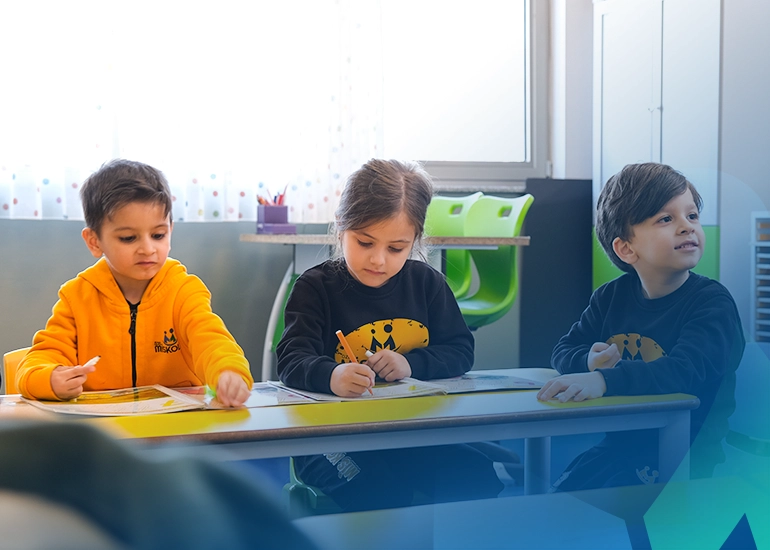 Ana Sınıfı Eğitim Programı